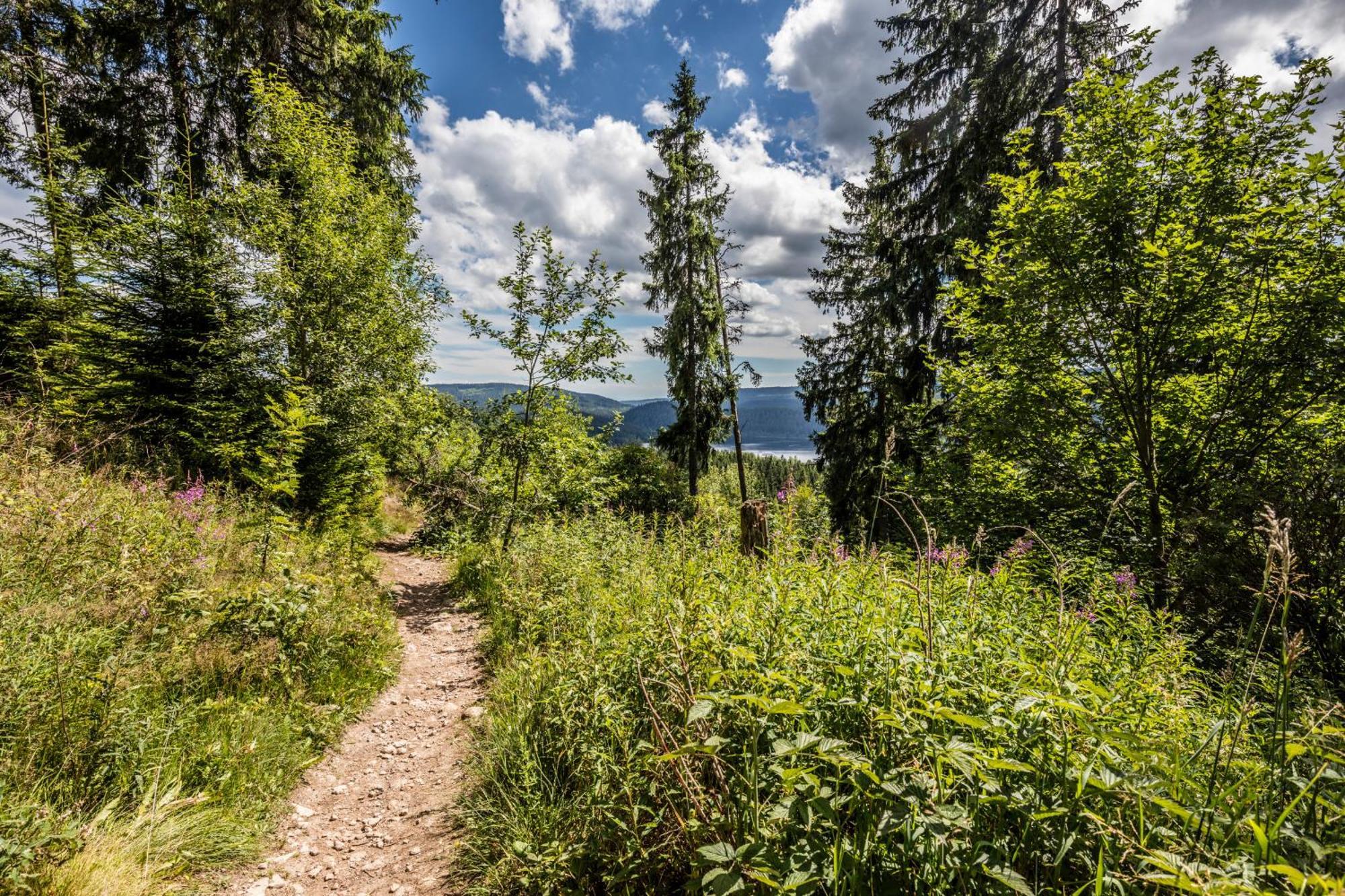Haus Findling, 10 Personen, Schluchsee, Hochschwarzwaldkarte Екстер'єр фото